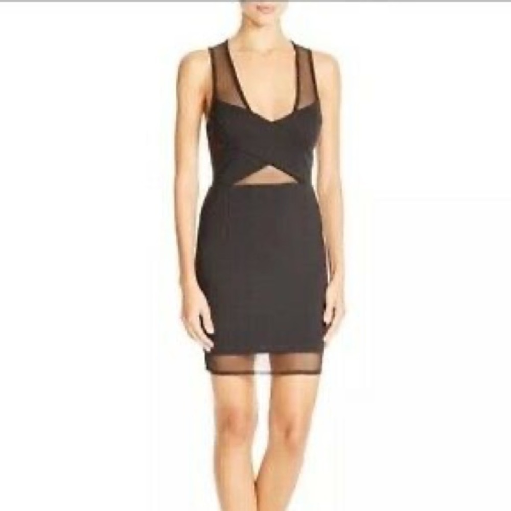 Lucy Paris Bodycon Mesh Dress Medium NWT